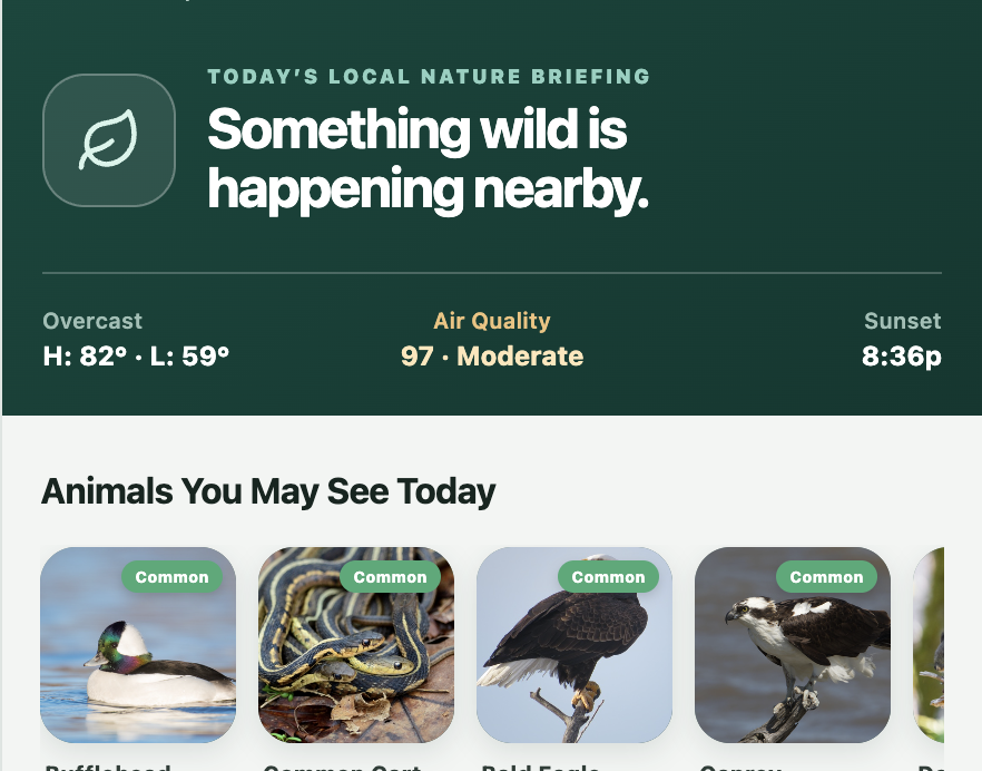 The Daily Rewild