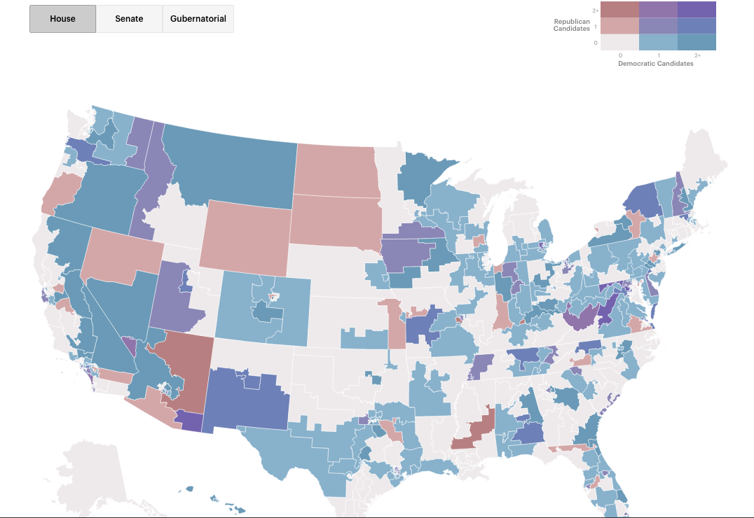 New Yorker Women in the Midterm Elections